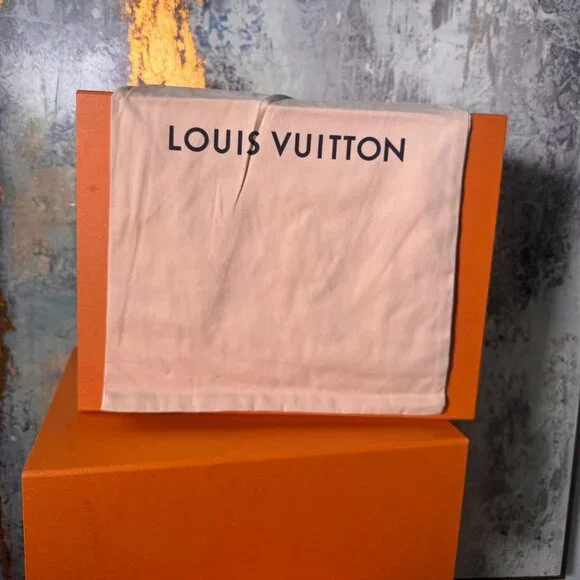 Louis Vuitton Dust Bag - Picture 1 of 2